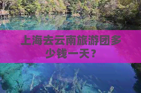 上海去云南旅游团多少钱一天？