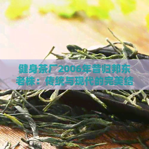 健身茶厂2006年昔归邦东老株：传统与现代的完美结合