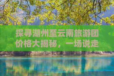 探寻湖州至云南旅游团价格大揭秘，一场说走就走的旅行！