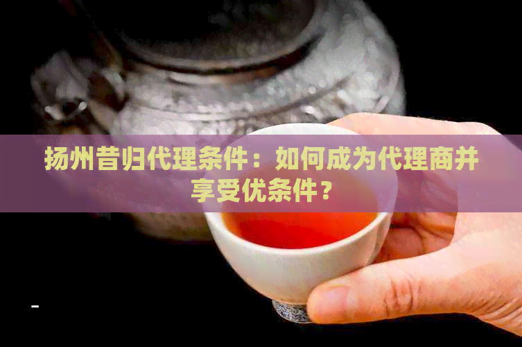 扬州昔归代理条件：如何成为代理商并享受优条件？