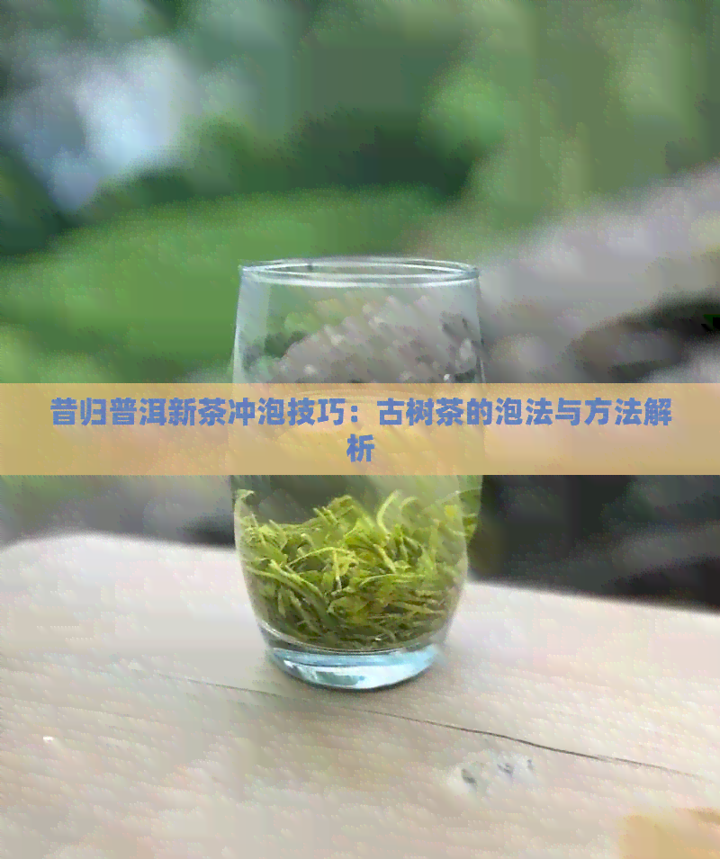 昔归普洱新茶冲泡技巧：古树茶的泡法与方法解析