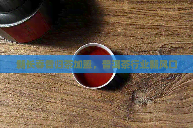 新长春昔归茶加盟，普洱茶行业新风口