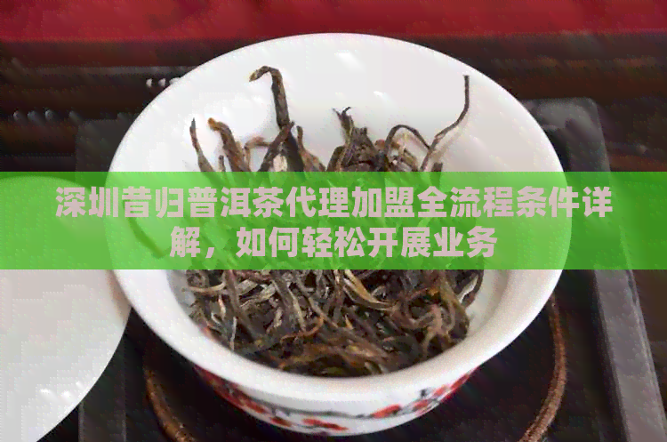 深圳昔归普洱茶代理加盟全流程条件详解，如何轻松开展业务