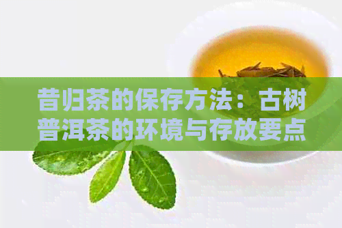 昔归茶的保存方法：古树普洱茶的环境与存放要点