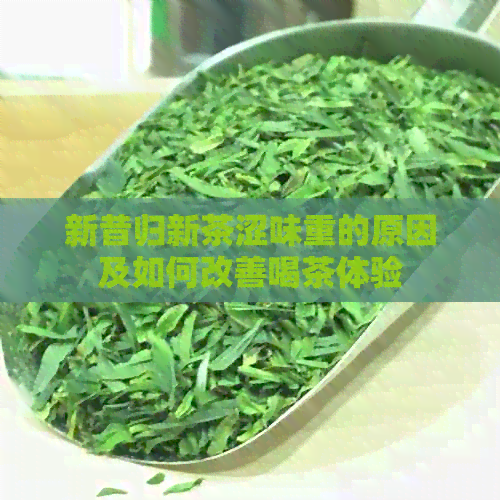 新昔归新茶涩味重的原因及如何改善喝茶体验