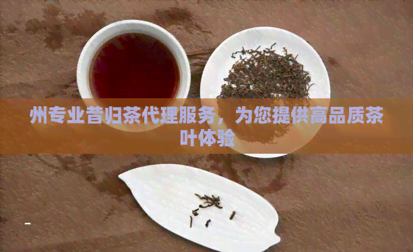 州专业昔归茶代理服务，为您提供高品质茶叶体验