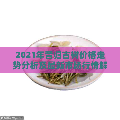 2021年昔归古树价格走势分析及最新市场行情解读