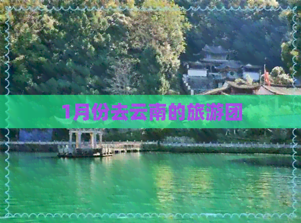 1月份去云南的旅游团