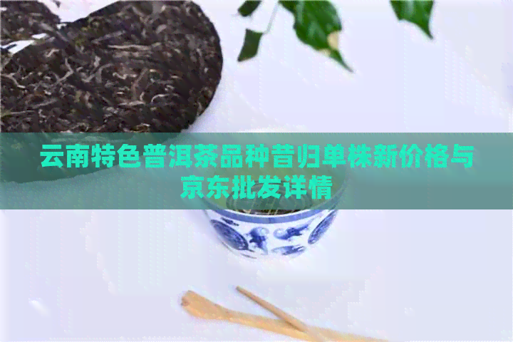 云南特色普洱茶品种昔归单株新价格与京东批发详情