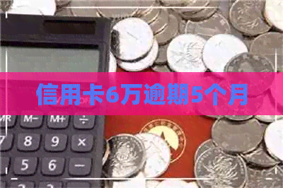 信用卡6万逾期5个月