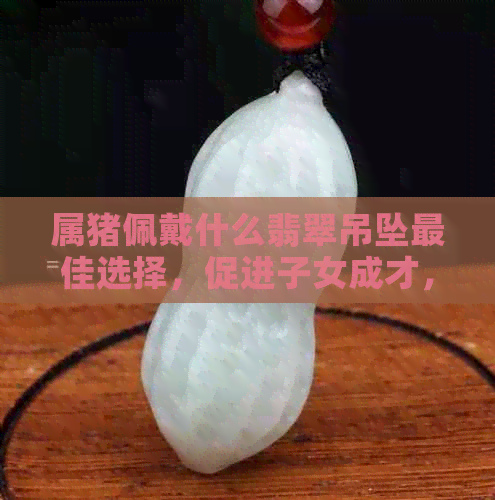 属猪佩戴什么翡翠吊坠更佳选择，促进子女成才，提高运势