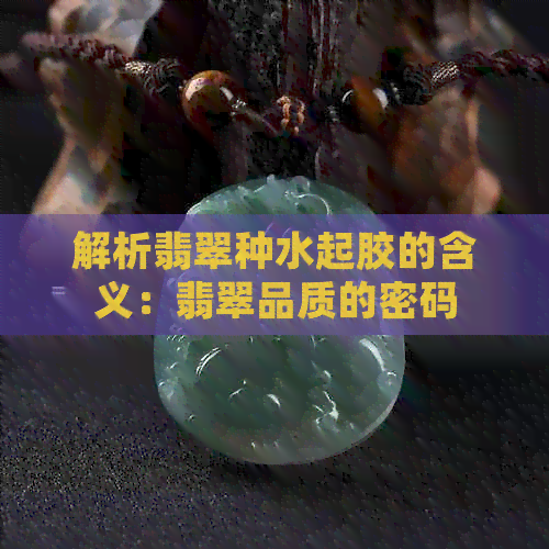 解析翡翠种水起胶的含义：翡翠品质的密码