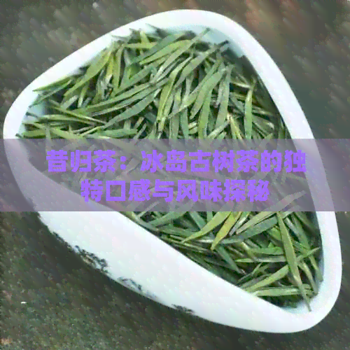 昔归茶：冰岛古树茶的独特口感与风味探秘