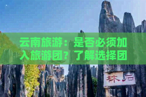 云南旅游：是否必须加入旅游团？了解选择团队游或自由行的优缺点