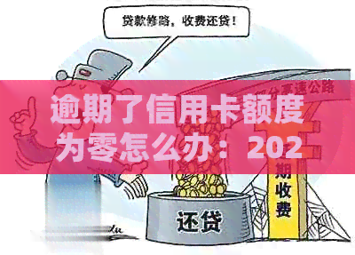 逾期了信用卡额度为零怎么办：2020年无法使用，总额度高达？