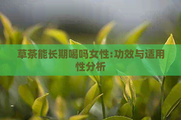 草茶能长期喝吗女性:功效与适用性分析