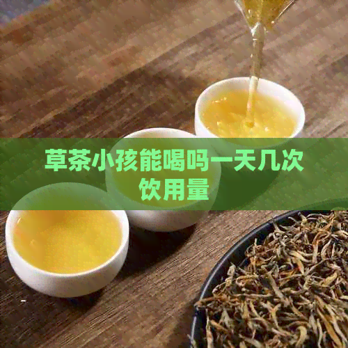 草茶小孩能喝吗一天几次饮用量