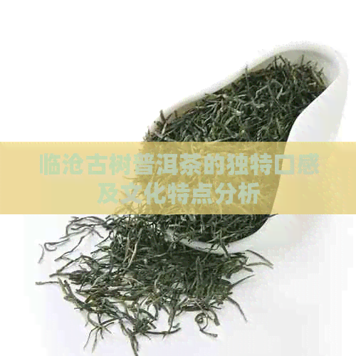 临沧古树普洱茶的独特口感及文化特点分析