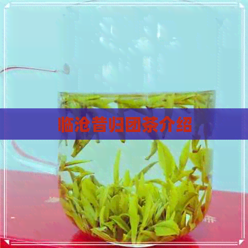 临沧昔归团茶介绍