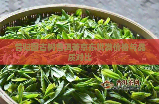 昔归园古树普洱茶京东批发价格与品质对比