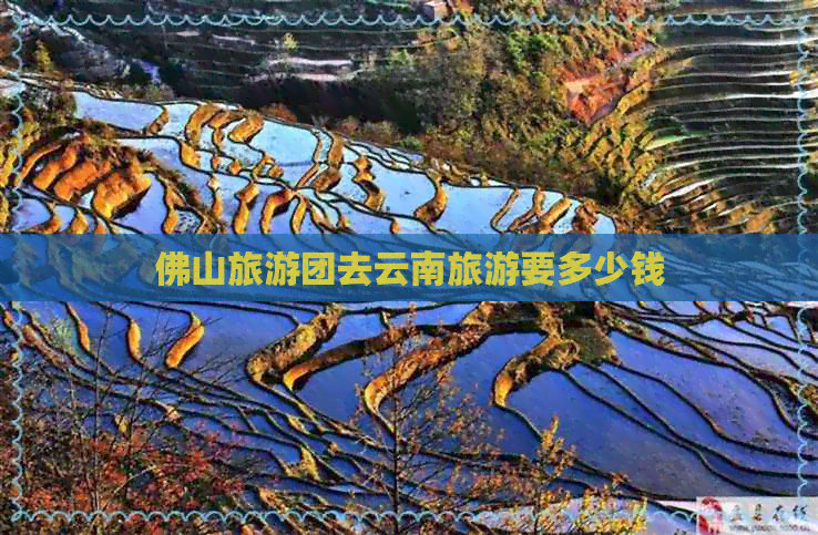 佛山旅游团去云南旅游要多少钱