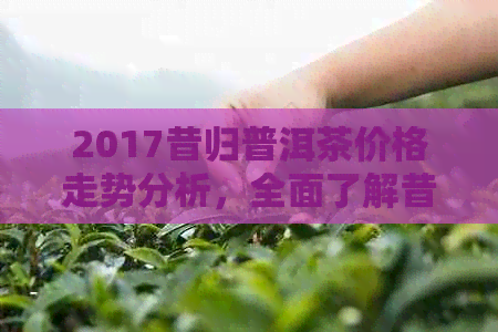 2017昔归普洱茶价格走势分析，全面了解昔归普洱茶的市场行情与价格区间