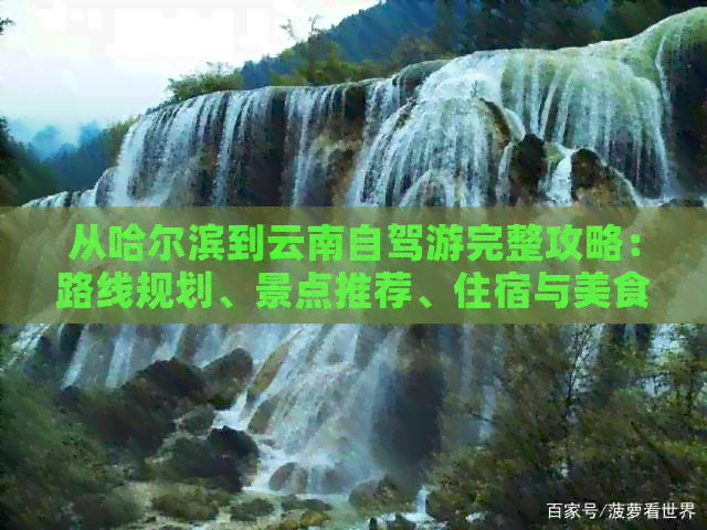 从哈尔滨到云南自驾游完整攻略：路线规划、景点推荐、住宿与美食一网打尽