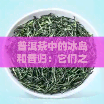 普洱茶中的冰岛和昔归：它们之间的区别及如何选择