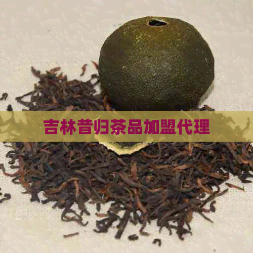 吉林昔归茶品加盟代理