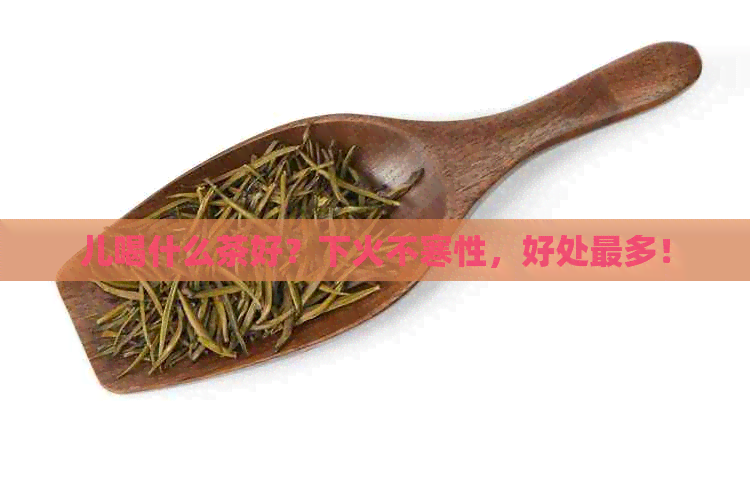 儿喝什么茶好？下火不寒性，好处最多！