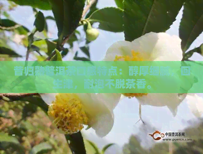 昔归熟普洱茶口感特点：醇厚细腻，回生津，耐泡不脱茶香。