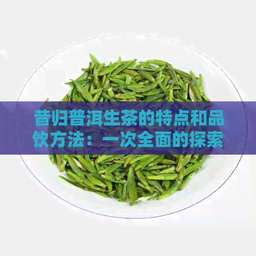 昔归普洱生茶的特点和品饮方法：一次全面的探索与了解