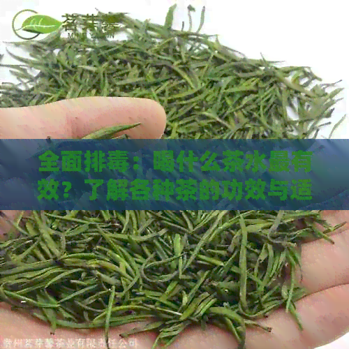 全面排：喝什么茶水最有效？了解各种茶的功效与适用场景