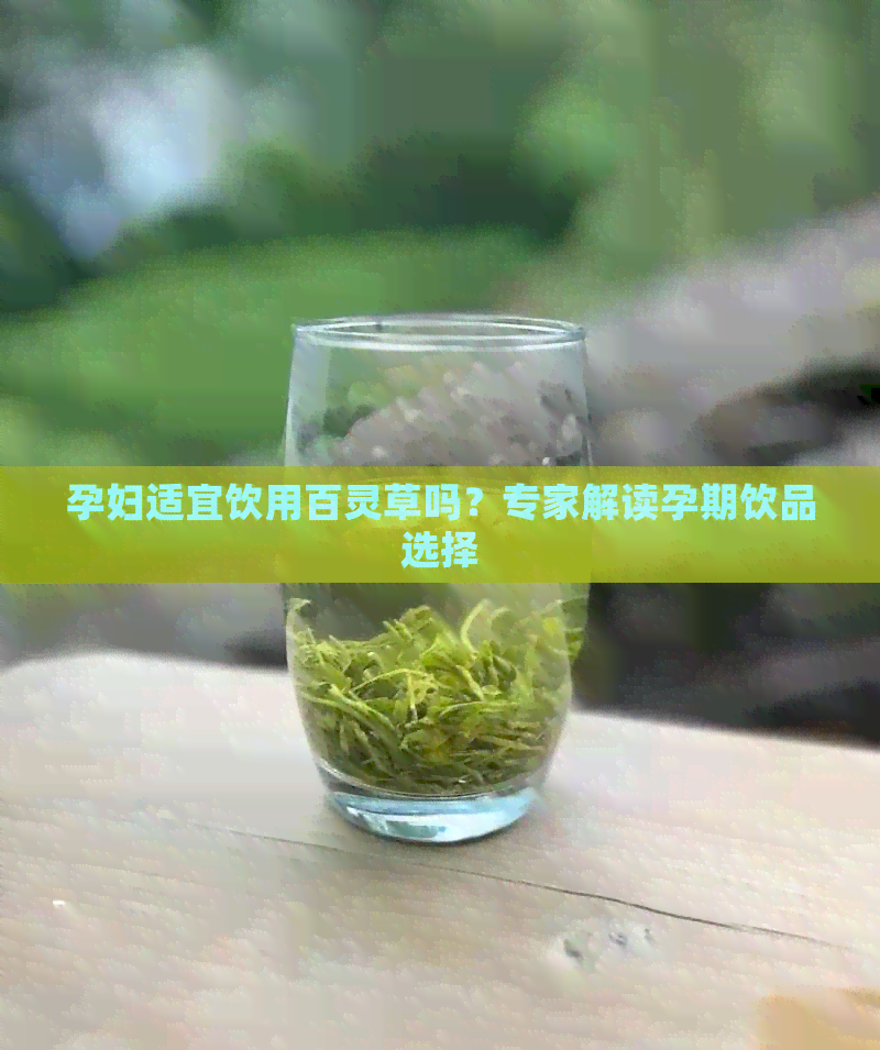 孕妇适宜饮用百灵草吗？专家解读孕期饮品选择