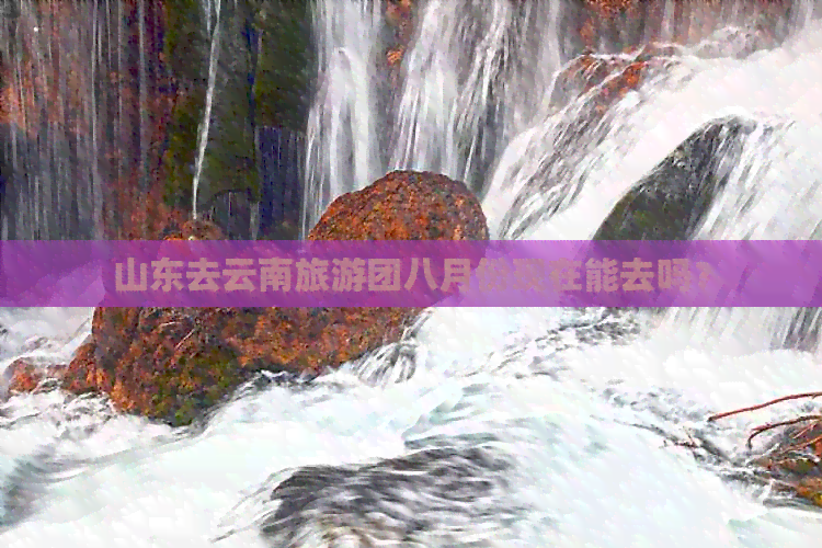 山东去云南旅游团八月份现在能去吗？