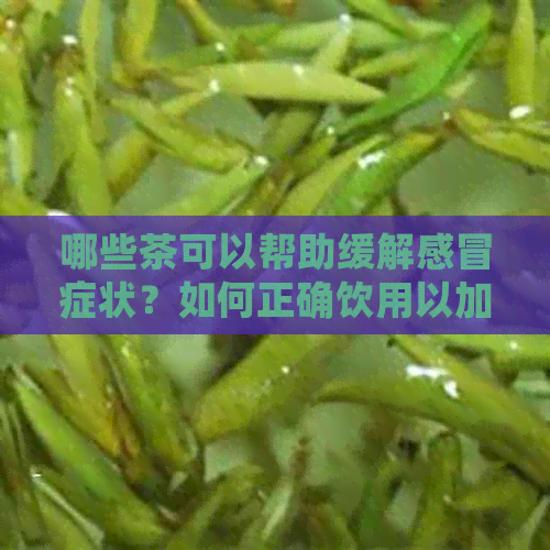 哪些茶可以帮助缓解感冒症状？如何正确饮用以加速复？