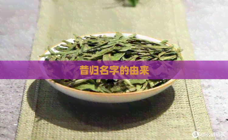 昔归名字的由来