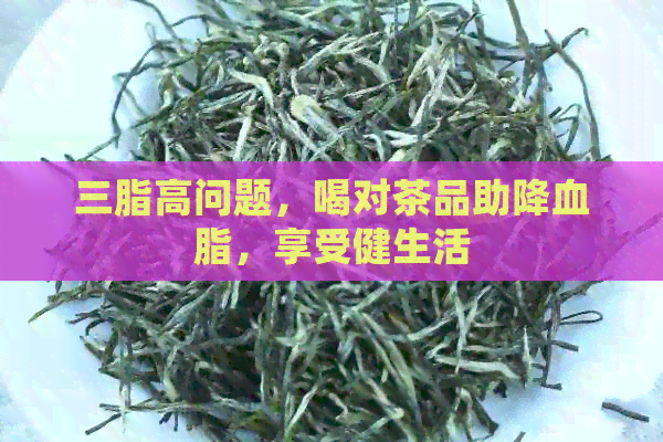 三脂高问题，喝对茶品助降血脂，享受健生活