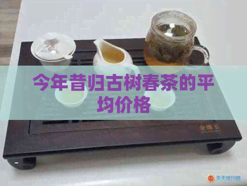 今年昔归古树春茶的平均价格