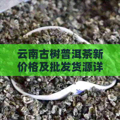 云南古树普洱茶新价格及批发货源详情，临沧茶阿里促销活动火爆进行中