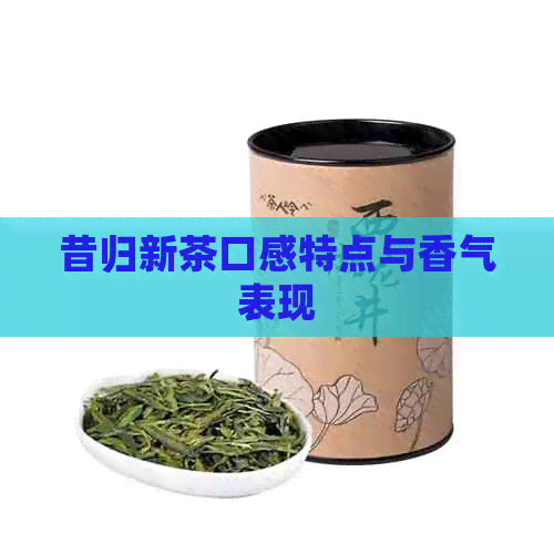 昔归新茶口感特点与香气表现