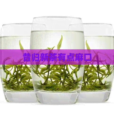 昔归新茶有点麻口