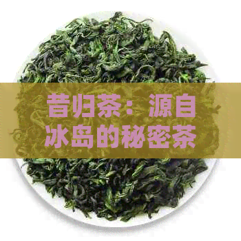 昔归茶：源自冰岛的秘密茶叶产地探秘