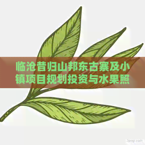 临沧昔归山邦东古寨及小镇项目规划投资与水果照片