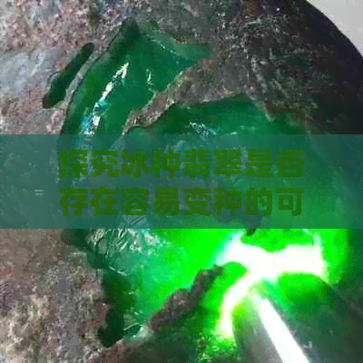 探究冰种翡翠是否存在容易变种的可能性：一种综合分析