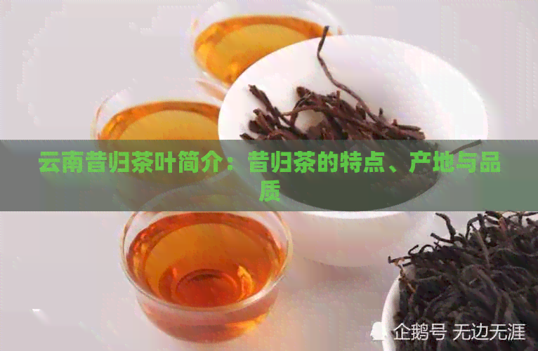 云南昔归茶叶简介：昔归茶的特点、产地与品质