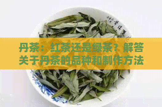 丹茶：红茶还是绿茶？解答关于丹茶的品种和制作方法的疑问