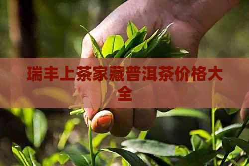 瑞丰上茶家藏普洱茶价格大全