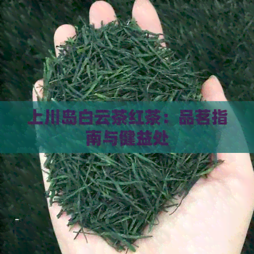 上川岛白云茶红茶：品茗指南与健益处