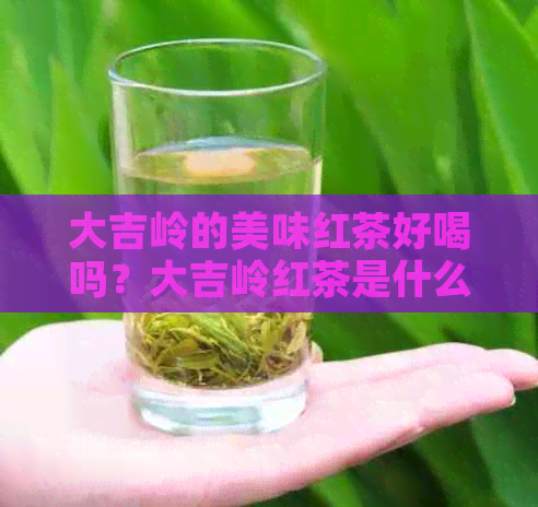 大吉岭的美味红茶好喝吗？大吉岭红茶是什么味道？推荐大吉岭红茶